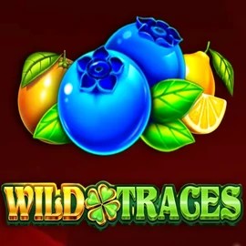 Wild Traces logo by Amusnet Interactive Catspins Casino